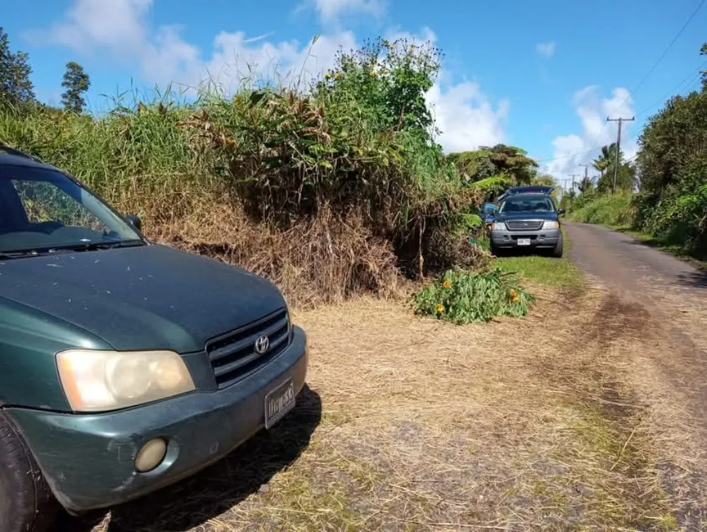 Custom landscape design with custom design across Kurtistown, HI - Rob & Sons