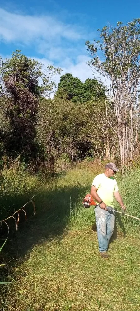 Trusted lawn mowing service in Kurtistown, HI by Rob & Sons