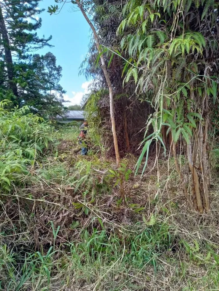 Custom outdoor landscaping in Kurtistown, HI by Rob & Sons