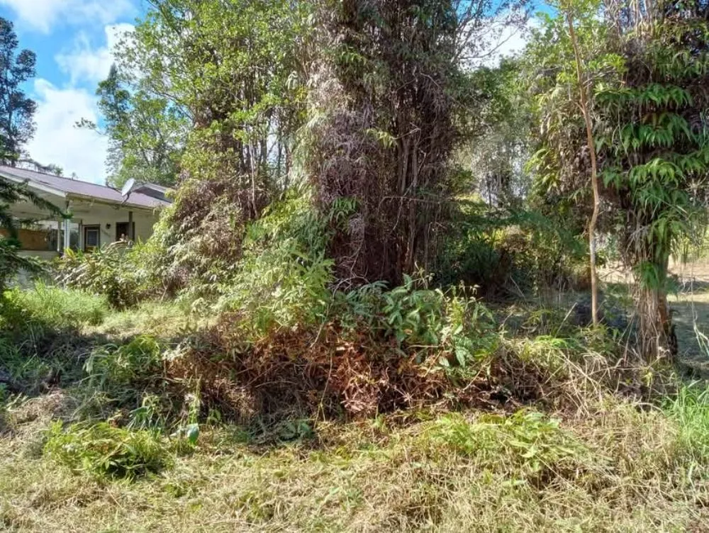 Affordable garden landscaping in Kurtistown, HI - Rob & Sons