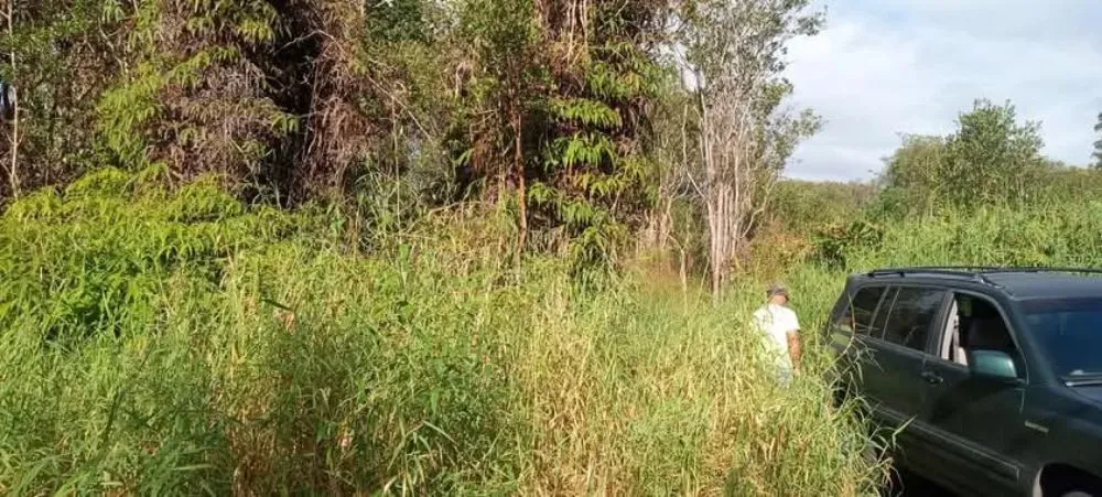 Reliable outdoor landscaping in Kurtistown, HI by Rob & Sons