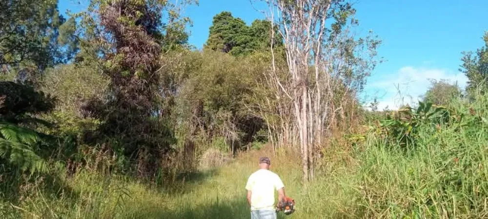 Local residential landscaping for homes in Kurtistown, HI by Rob & Sons