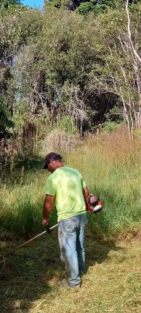 Trusted residential landscaping for homes in Kurtistown, HI by Rob & Sons