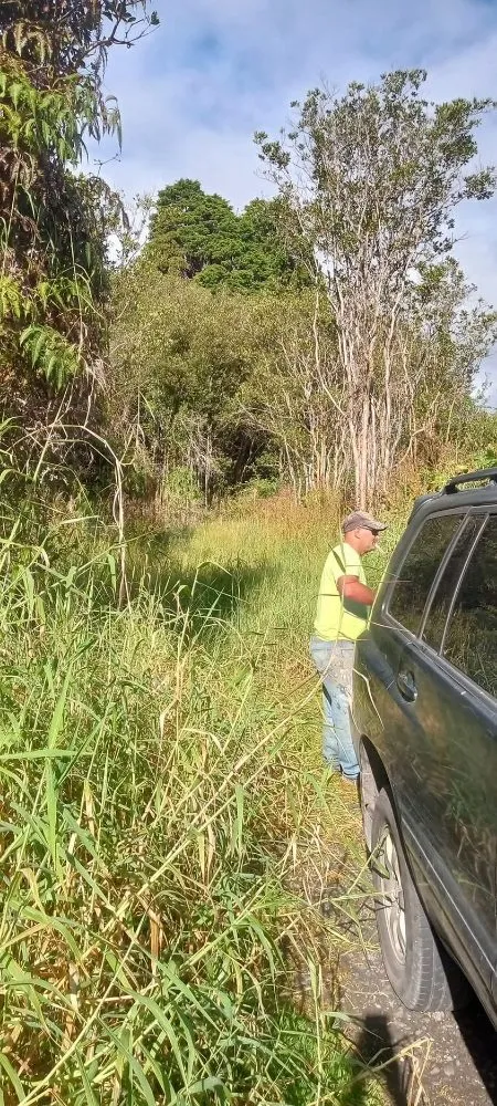 Affordable residential landscaping for homes across Kurtistown, HI - Rob & Sons