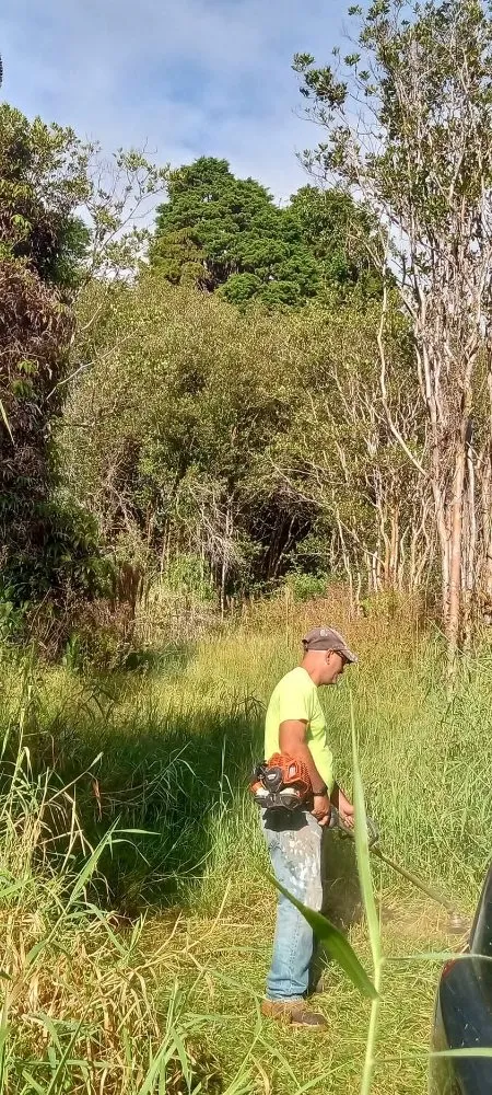 Custom garden landscaping for beautiful yards in Kurtistown, HI by Rob & Sons