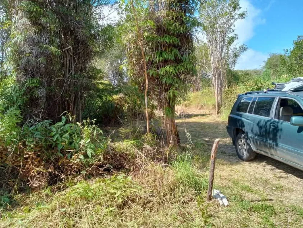 Top-rated garden landscaping for outdoor upgrades in Kurtistown, HI by Rob & Sons