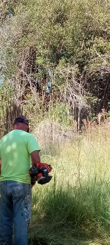 Expert landscaping services for year-round maintenance across Kurtistown, HI - Rob & Sons