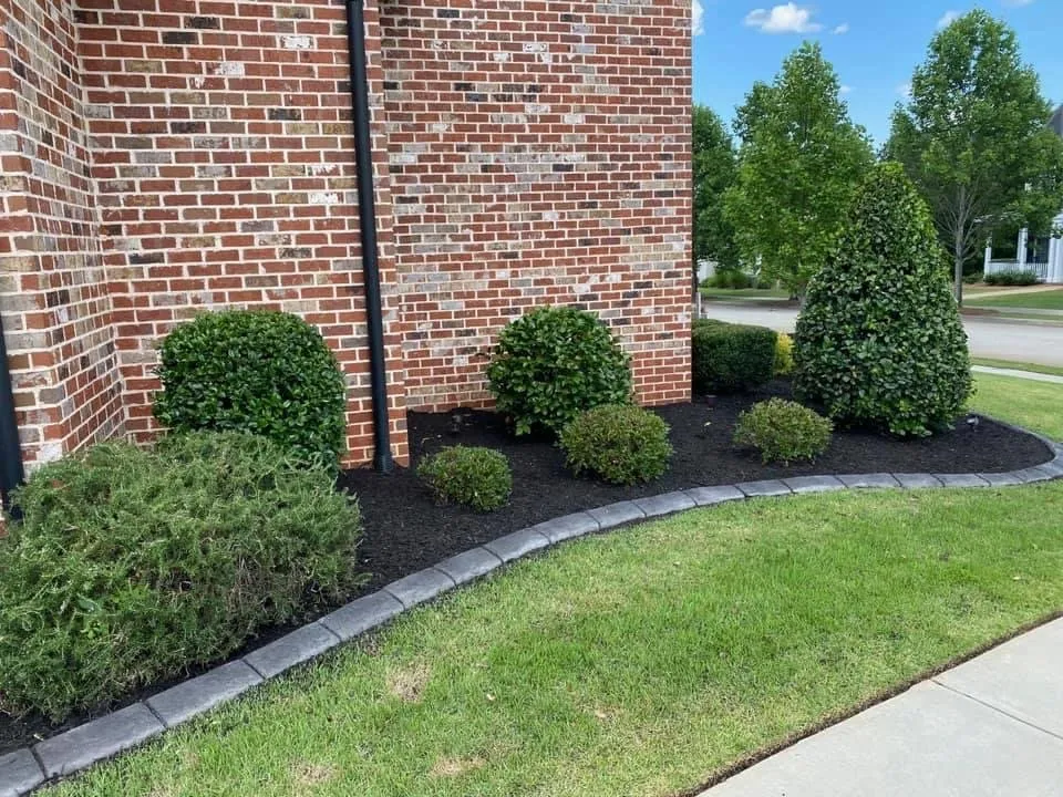 Expert outdoor landscaping in Tiger, GA - Rob landscapes
