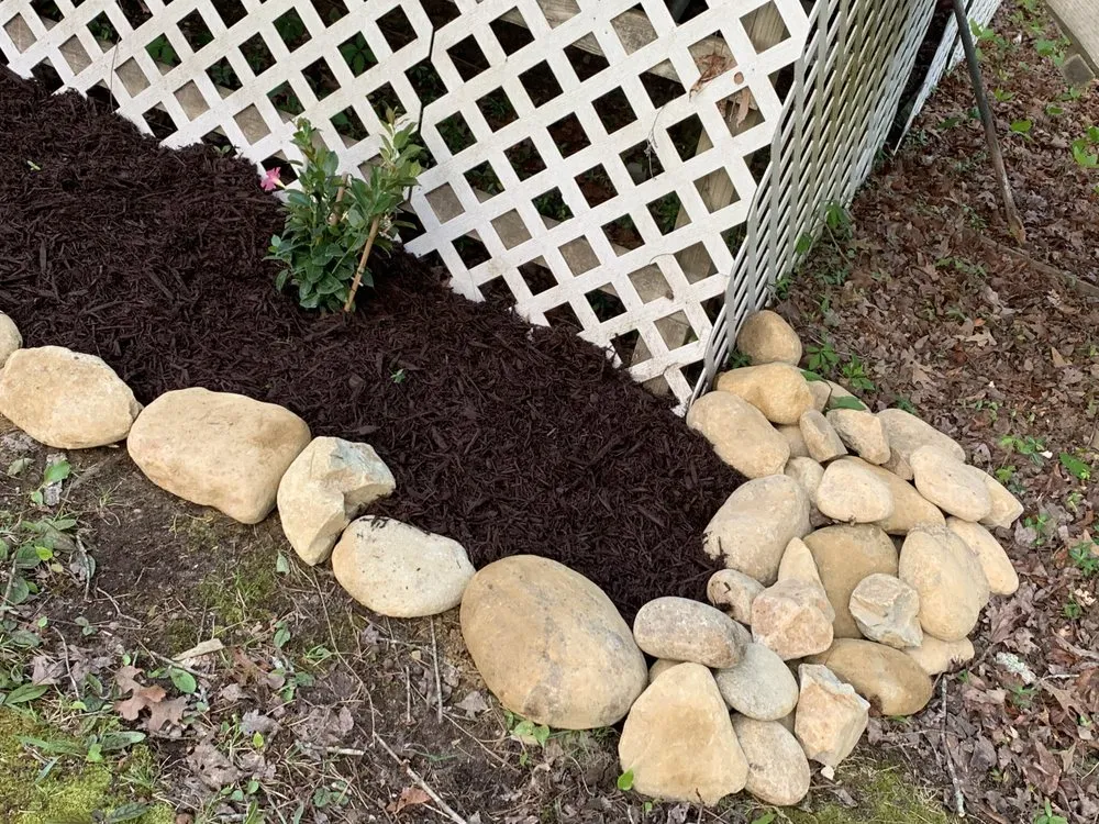 Top-rated yard cleanup service for residential properties in Tiger, GA by Rob landscapes