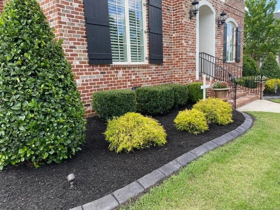 Trusted residential landscaping for beautiful yards in Tiger, GA by Rob landscapes