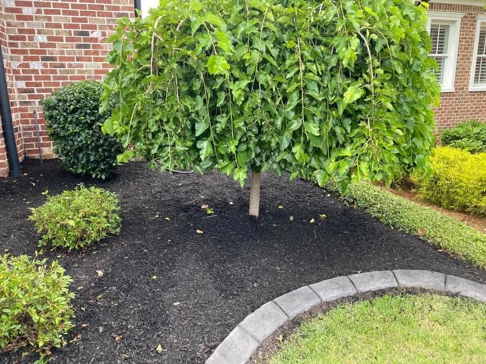 Trusted residential landscaping in Tiger, GA - Rob landscapes