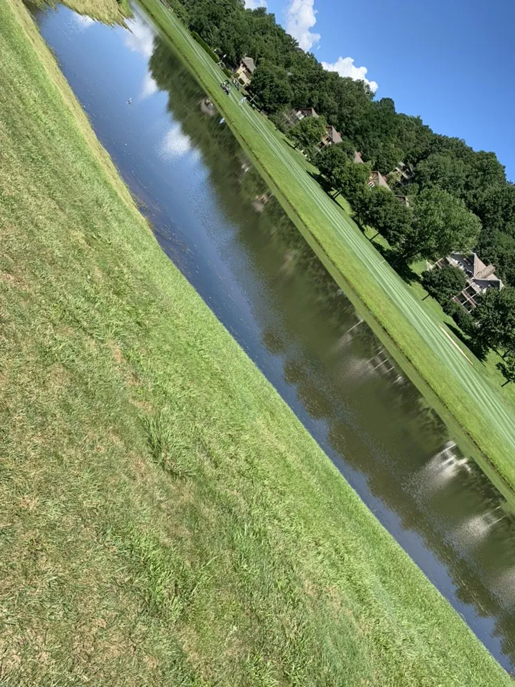 Professional lawn care service near you in Tiger, GA by Rob landscapes