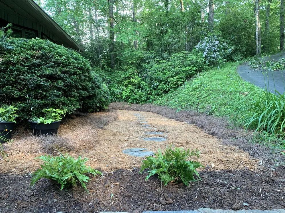 Professional lawn care service experts serving Tiger, GA - Rob landscapes