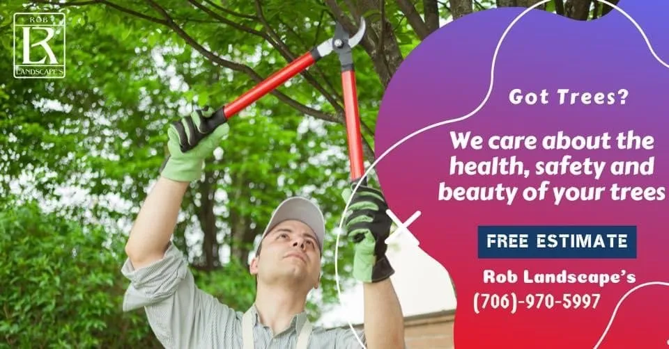 Custom lawn mowing service in Tiger, GA - Rob landscapes