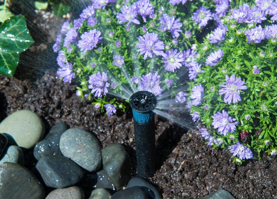 Expert residential landscaping for homes across Maple Lake, MN - Rob Smith Irrigation