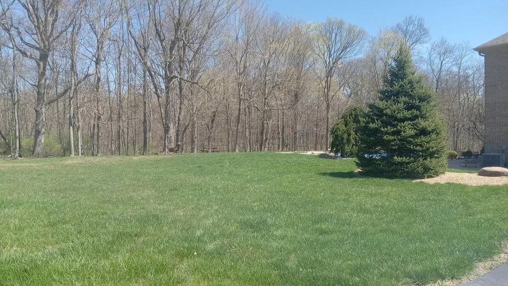 Expert outdoor landscaping for beautiful yards across Laurel, IN - Rob The Rebuilders Lawn and Home Services