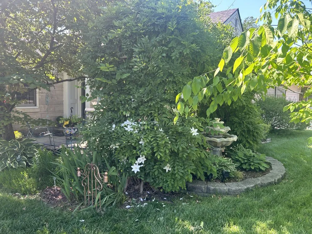 Reliable yard maintenance in Greenwood, IN by Robards & Sons Lawn Care