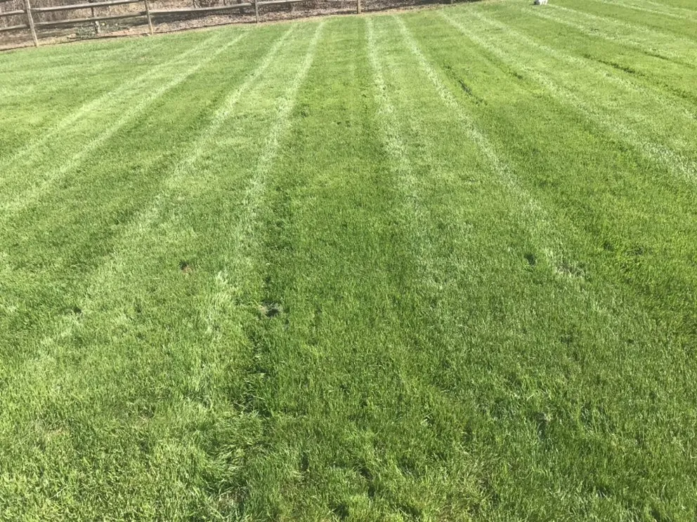 Custom landscape installation in Stanfield, NC by Robbie Harris Lawn Care