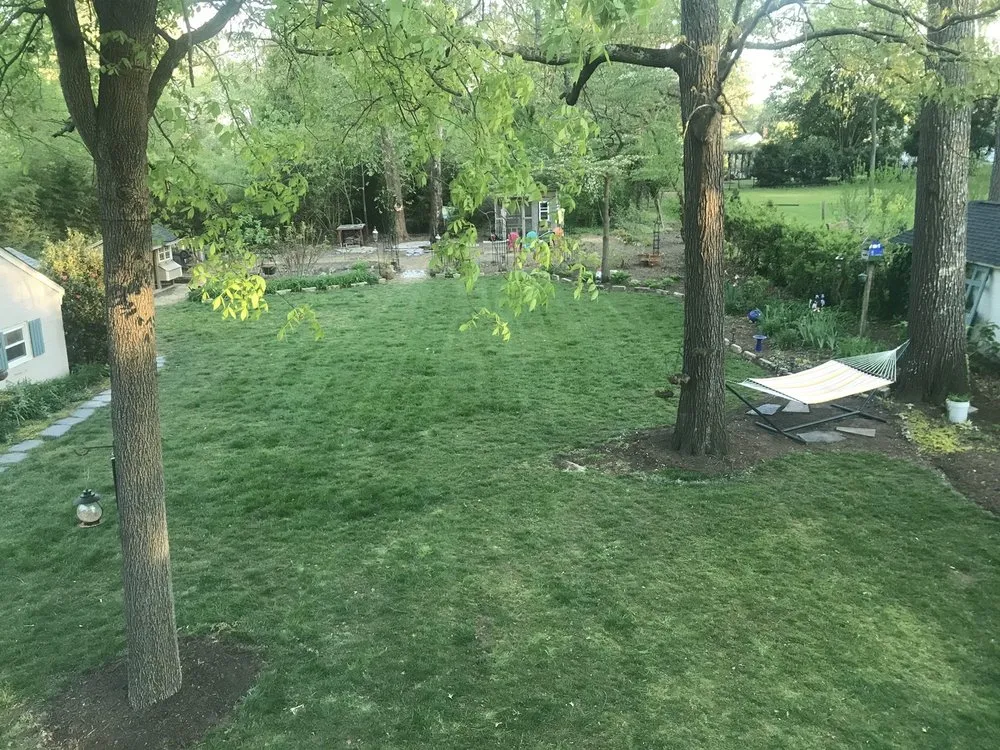 Top-rated lawn care service near you in S Chesterfield, VA by Robbins Landscaping, Inc.