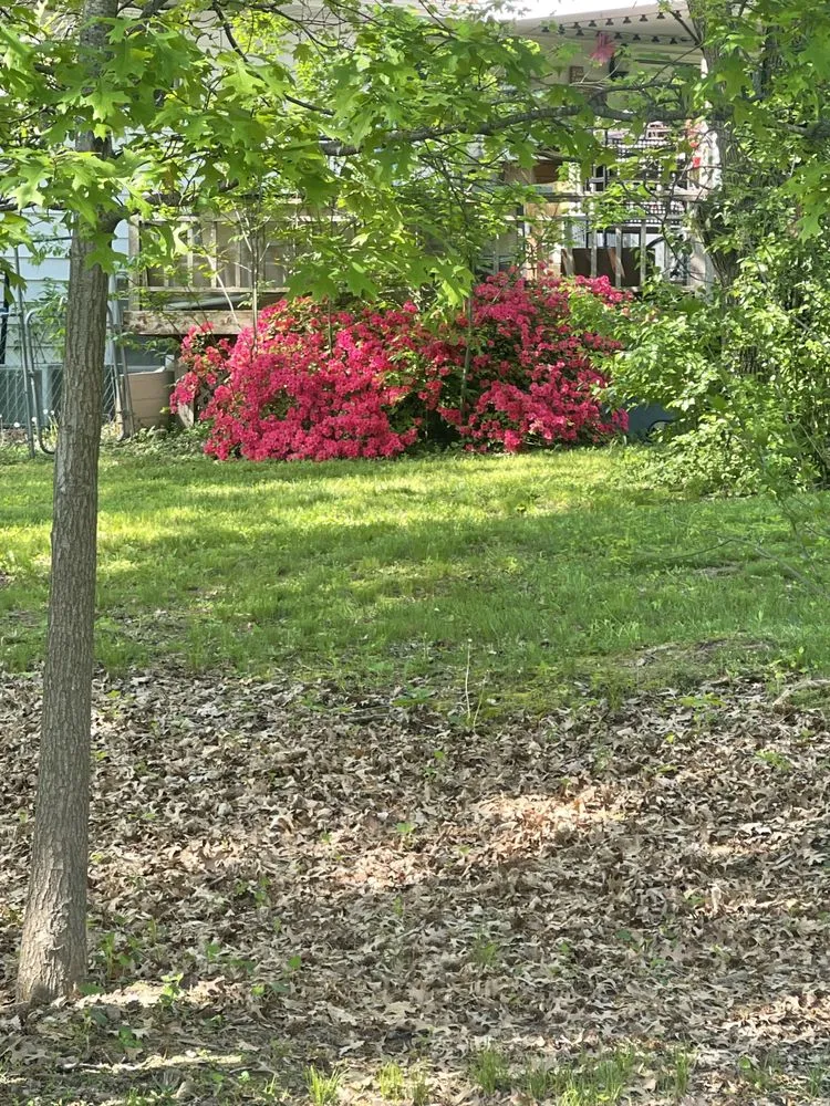 Expert residential landscaping in Mokane, MO - Robbins Landscaping