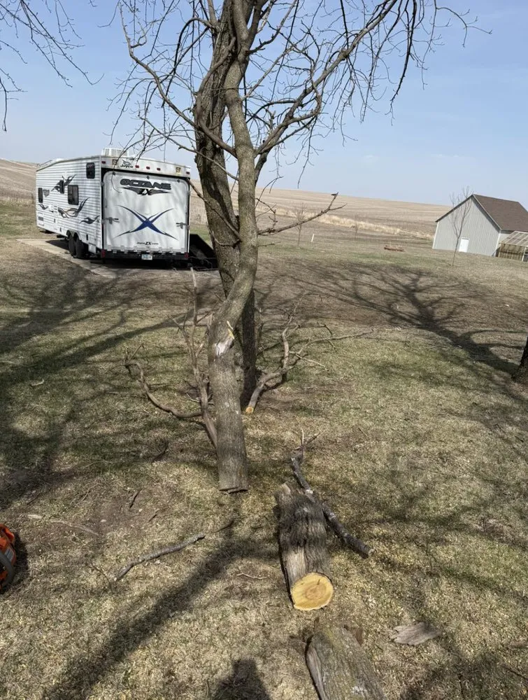 Trusted yard cleanup service in Hampton, IA by Robbins Lawn and Tree Service