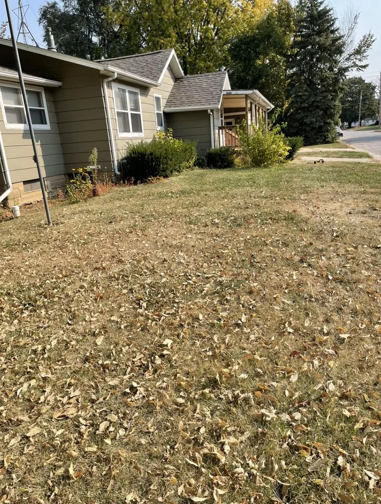 Trusted garden landscaping for outdoor upgrades in Hampton, IA by Robbins Lawn and Tree Service