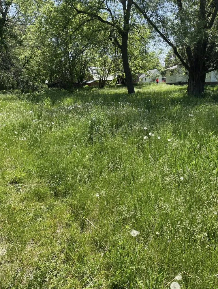 Trusted residential landscaping in Hampton, IA - Robbins Lawn and Tree Service