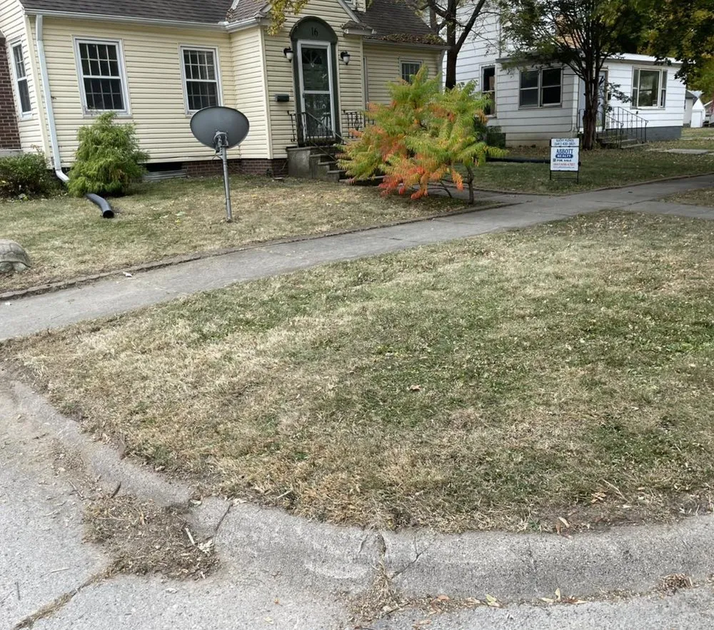 Expert outdoor landscaping in Hampton, IA by Robbins Lawn and Tree Service