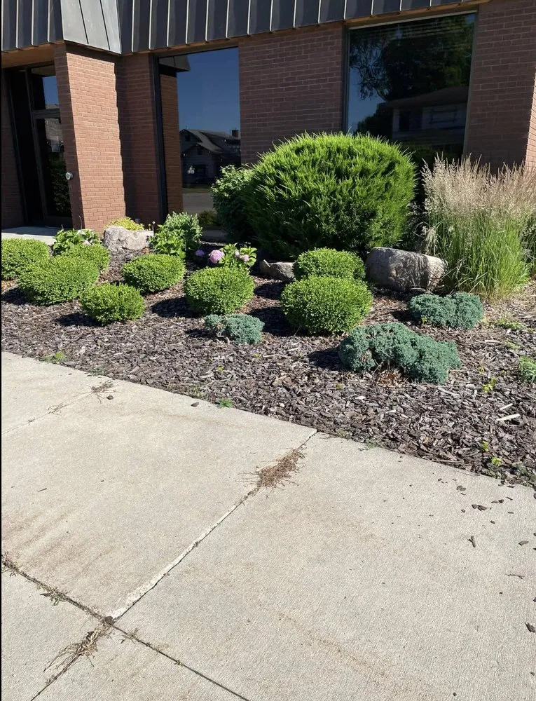 Expert outdoor landscaping in Hampton, IA by Robbins Lawn and Tree Service