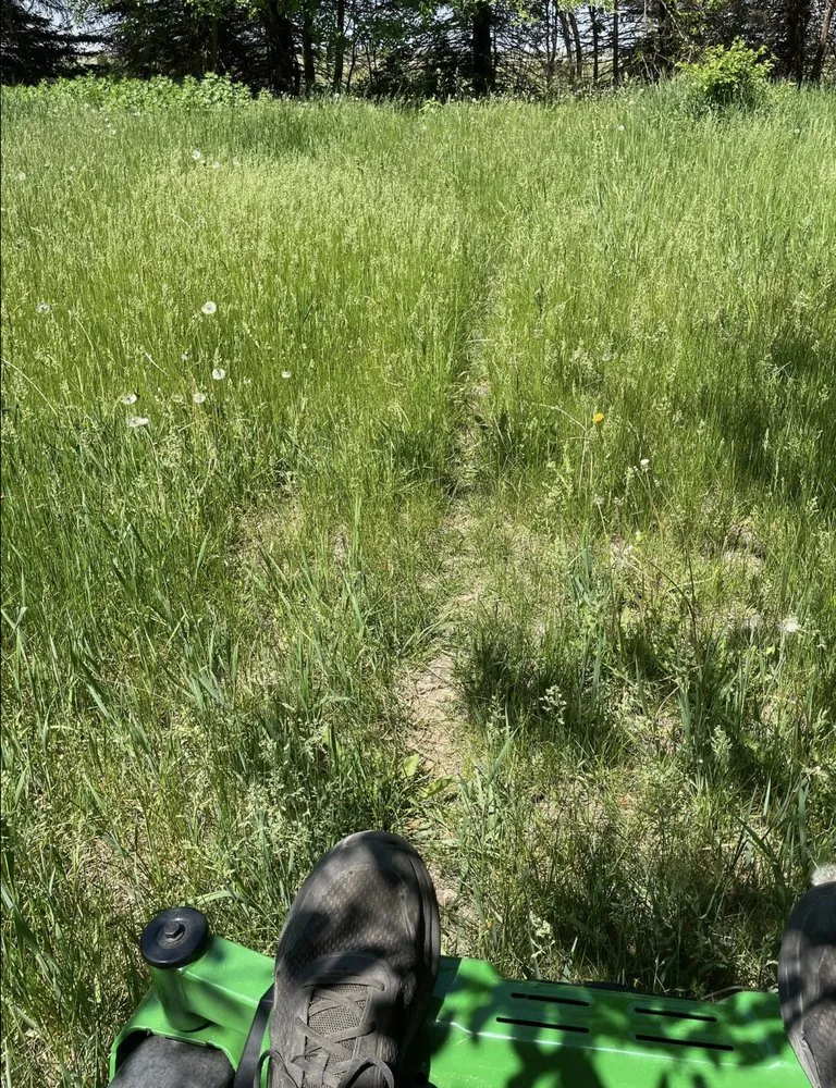 Local outdoor landscaping in Hampton, IA - Robbins Lawn and Tree Service