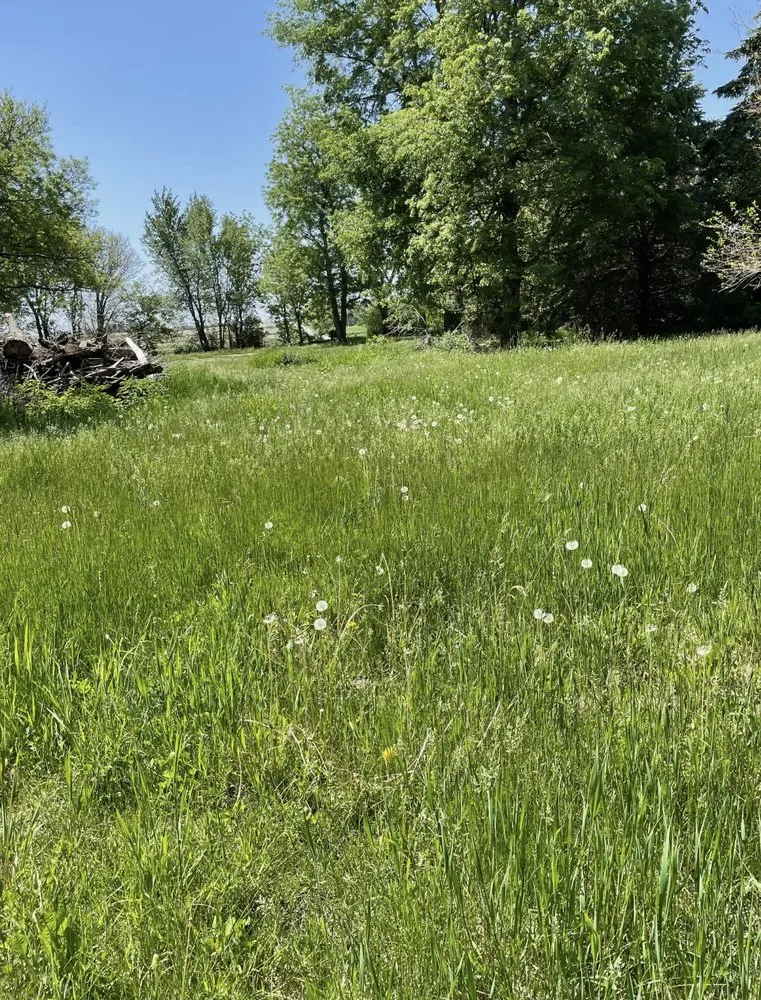 Reliable lawn mowing service for outdoor upgrades in Hampton, IA by Robbins Lawn and Tree Service