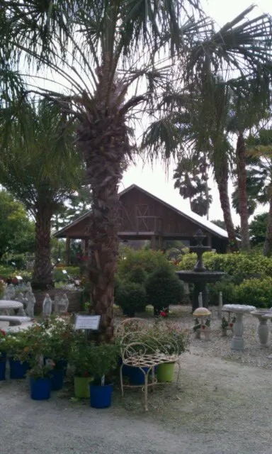 Custom lawn mowing service experts serving Sebring, FL - Robbins Nursery