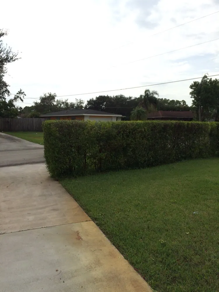 Custom landscape design experts serving Vero Beach, FL - Robbins Pro Lawn Service