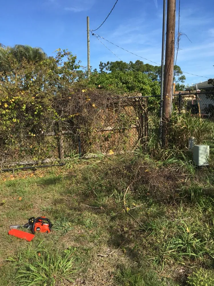 Reliable outdoor landscaping for residential properties across Vero Beach, FL - Robbins Pro Lawn Service