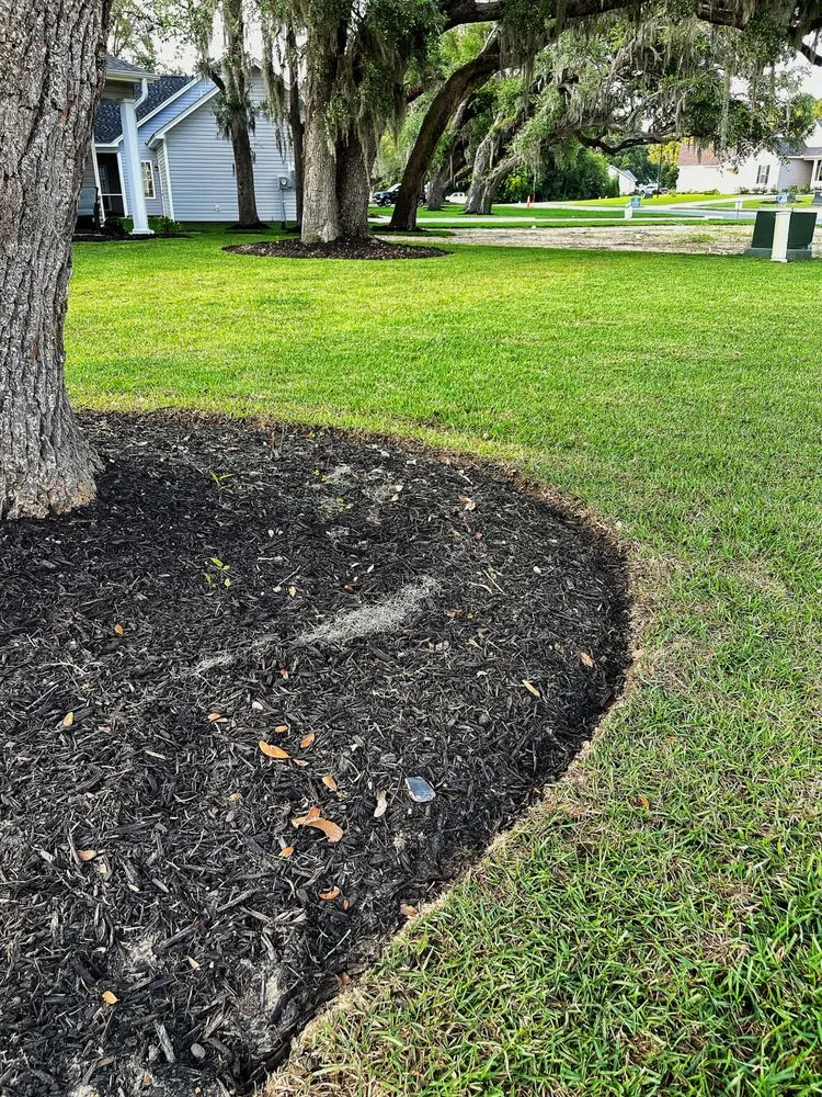 Top-rated residential landscaping near you across Georgetown, SC - Robby’s Landscape & Lawn