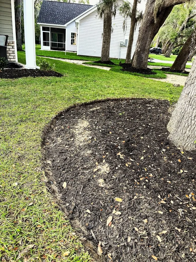 Reliable lawn care service in Georgetown, SC by Robby’s Landscape & Lawn