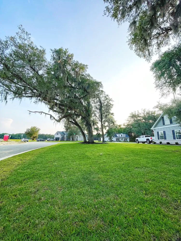 Reliable outdoor landscaping in Georgetown, SC - Robby’s Landscape & Lawn