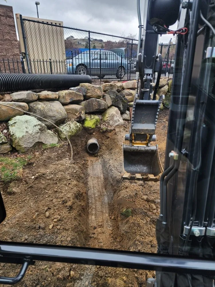 Expert yard cleanup service for homes across Spokane Valley, WA - Roberson Excavation and Tree Service