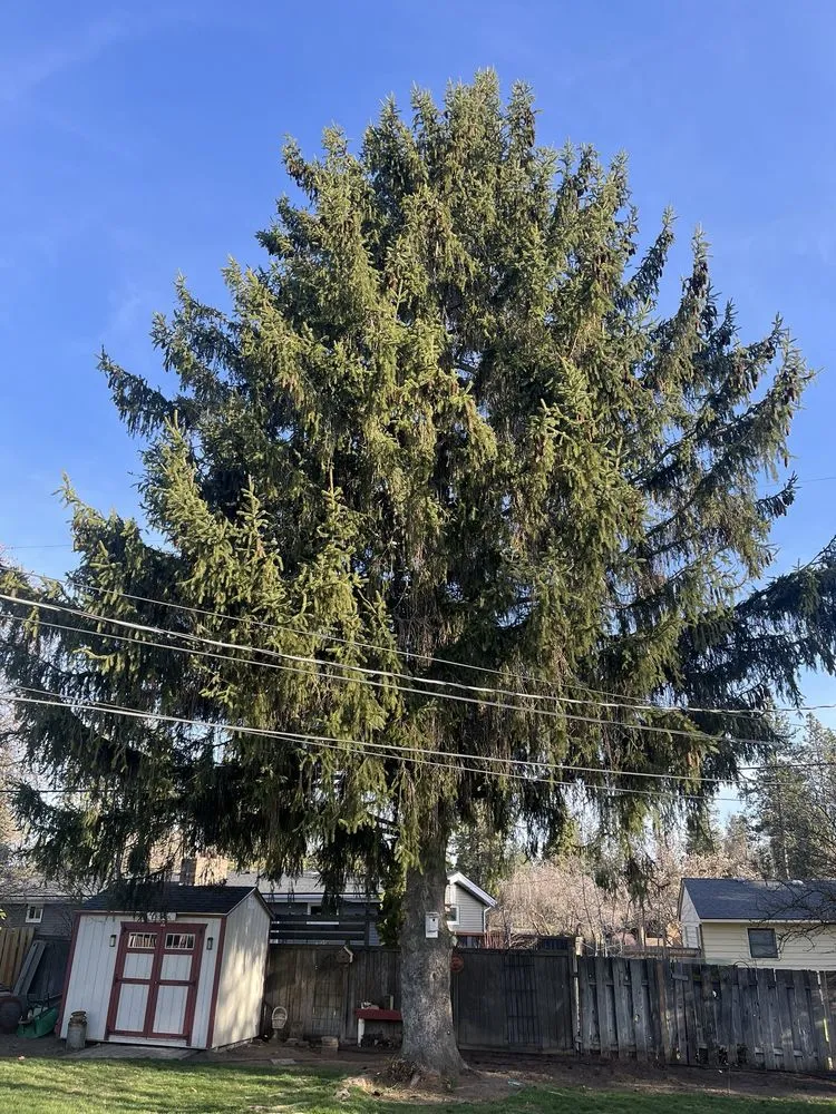 Top-rated landscape installation in Spokane Valley, WA by Roberson Excavation and Tree Service