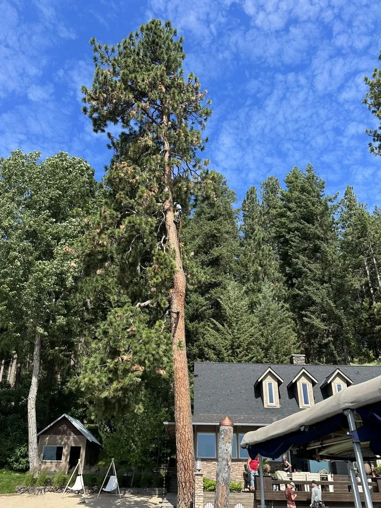 Local outdoor landscaping for outdoor upgrades across Spokane Valley, WA - Roberson Excavation and Tree Service