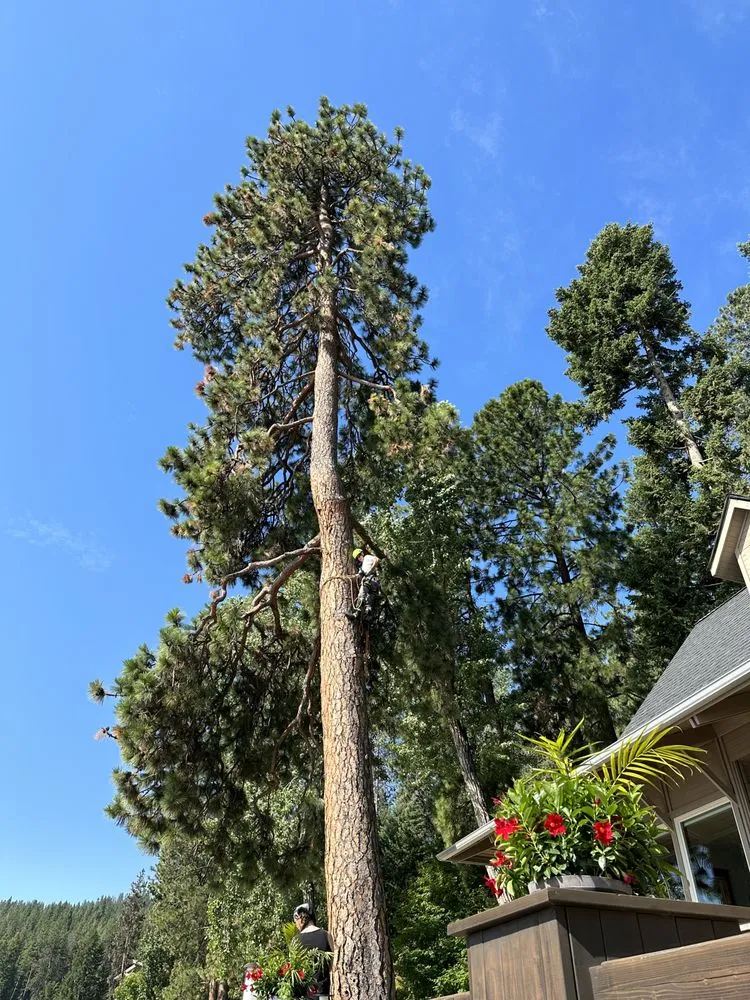 Custom landscape installation in Spokane Valley, WA by Roberson Excavation and Tree Service