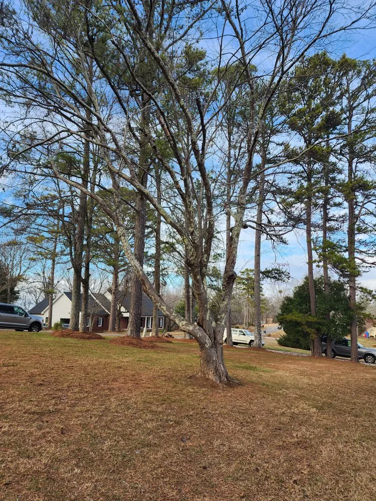 Reliable lawn mowing service experts serving Silver Creek, GA - Roberson Lawn Care & Property Management