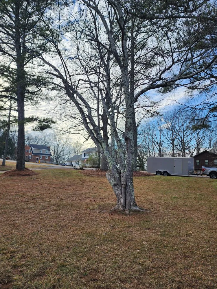 Affordable landscaping services experts serving Silver Creek, GA - Roberson Lawn Care & Property Management
