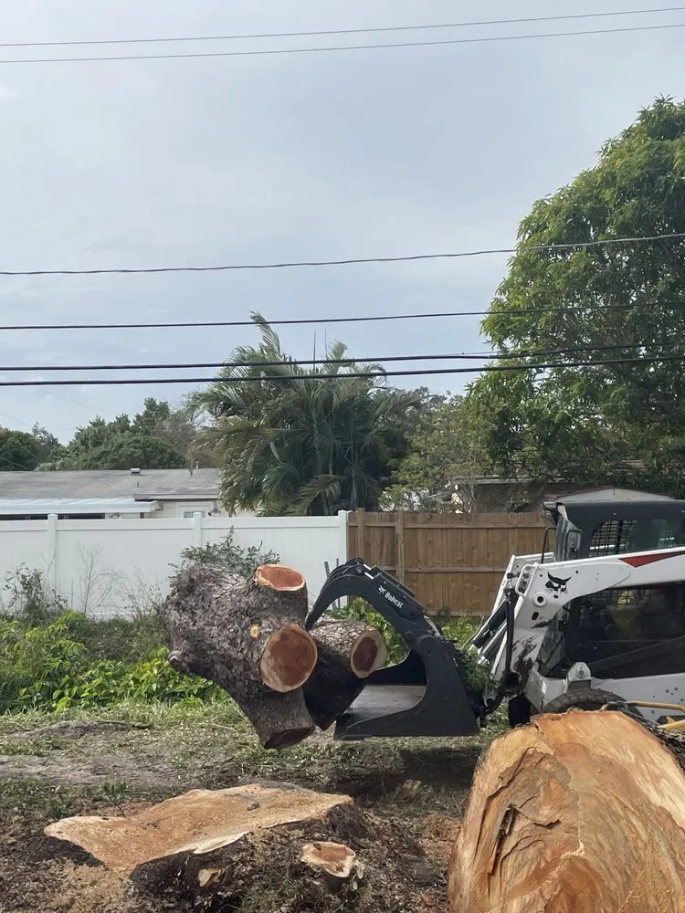 Custom garden landscaping in Fayetteville, NY by Roberson’s Tree Service