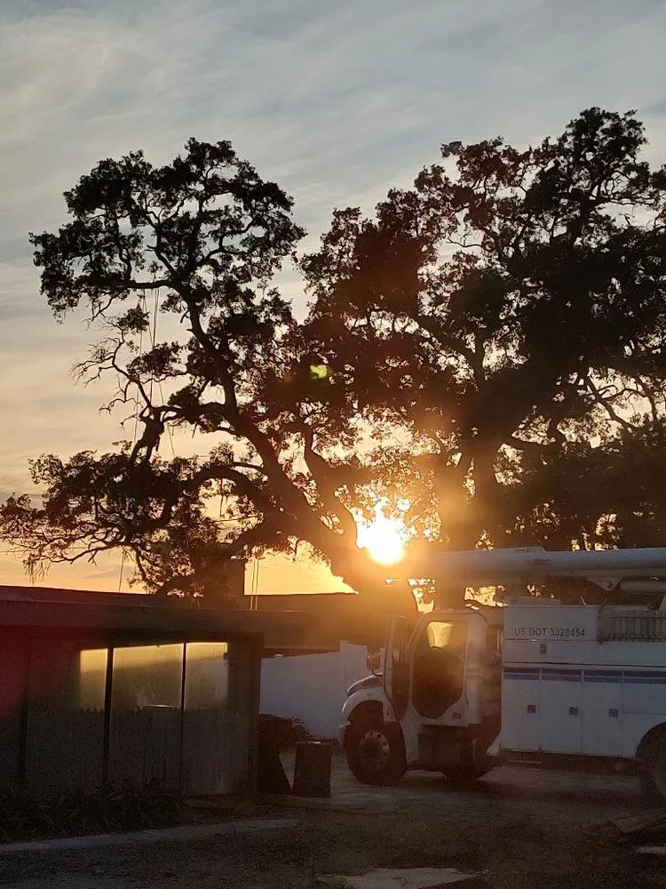 Trusted landscaping services in Fayetteville, NY - Roberson’s Tree Service