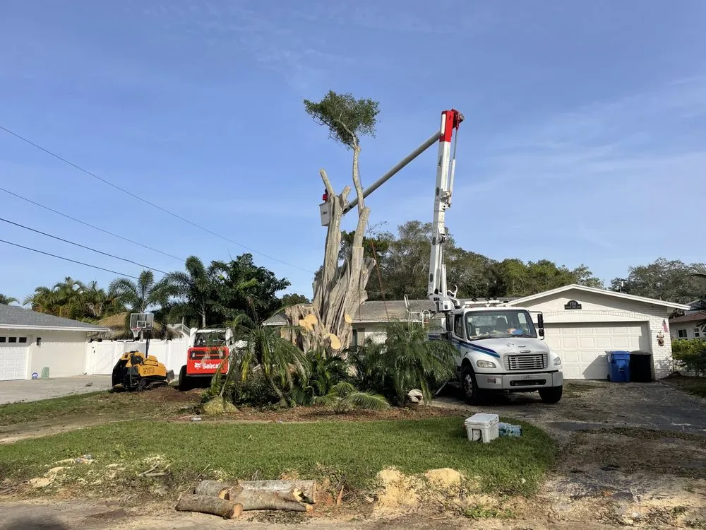 Top-rated garden landscaping for outdoor upgrades in Fayetteville, NY by Roberson’s Tree Service