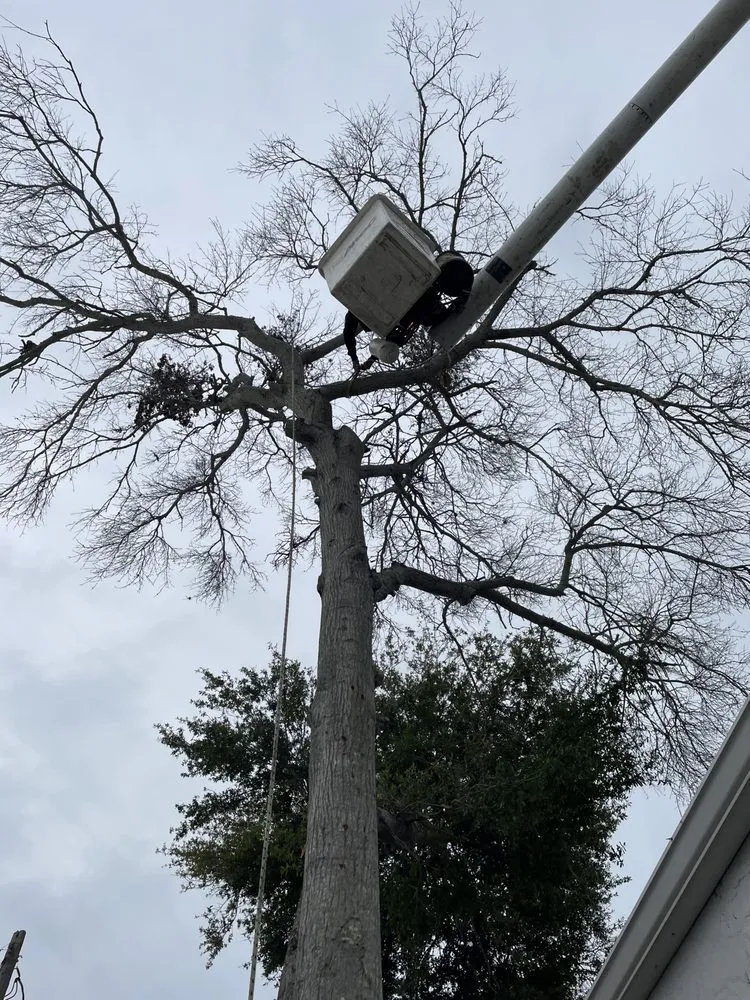 Reliable garden landscaping for homes in Fayetteville, NY by Roberson’s Tree Service