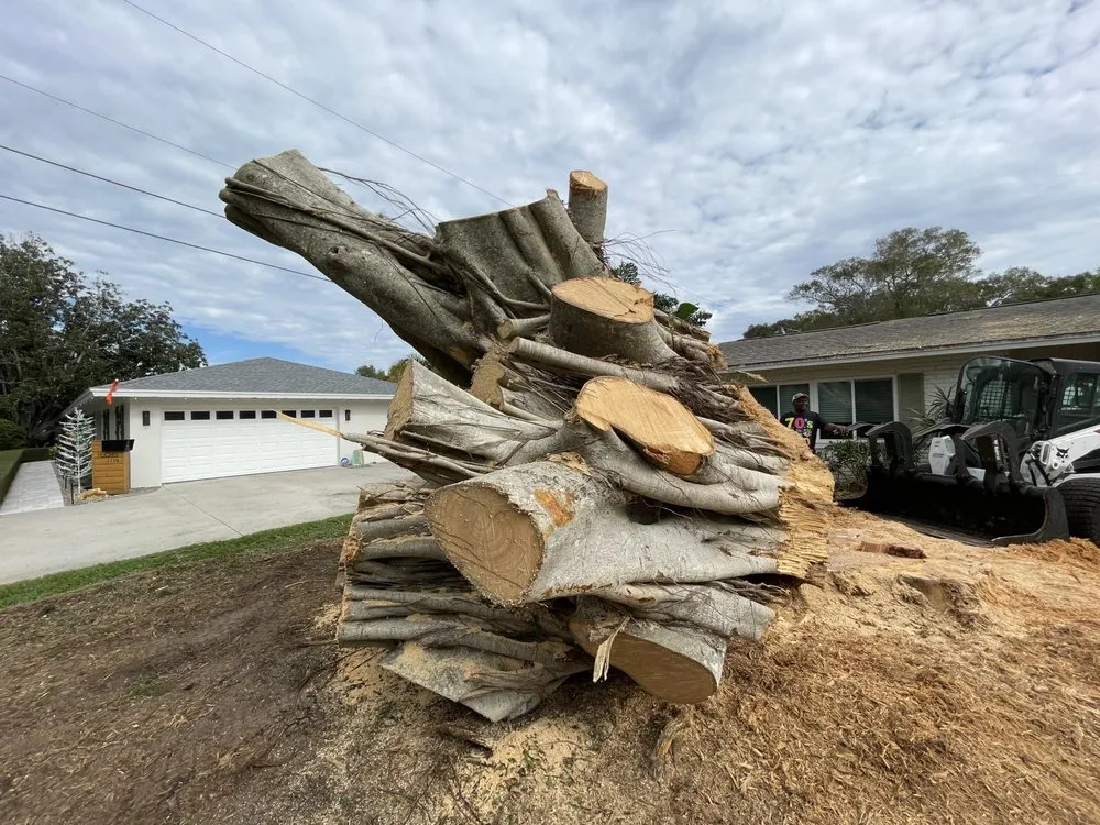 Trusted landscape design for outdoor upgrades across Fayetteville, NY - Roberson’s Tree Service