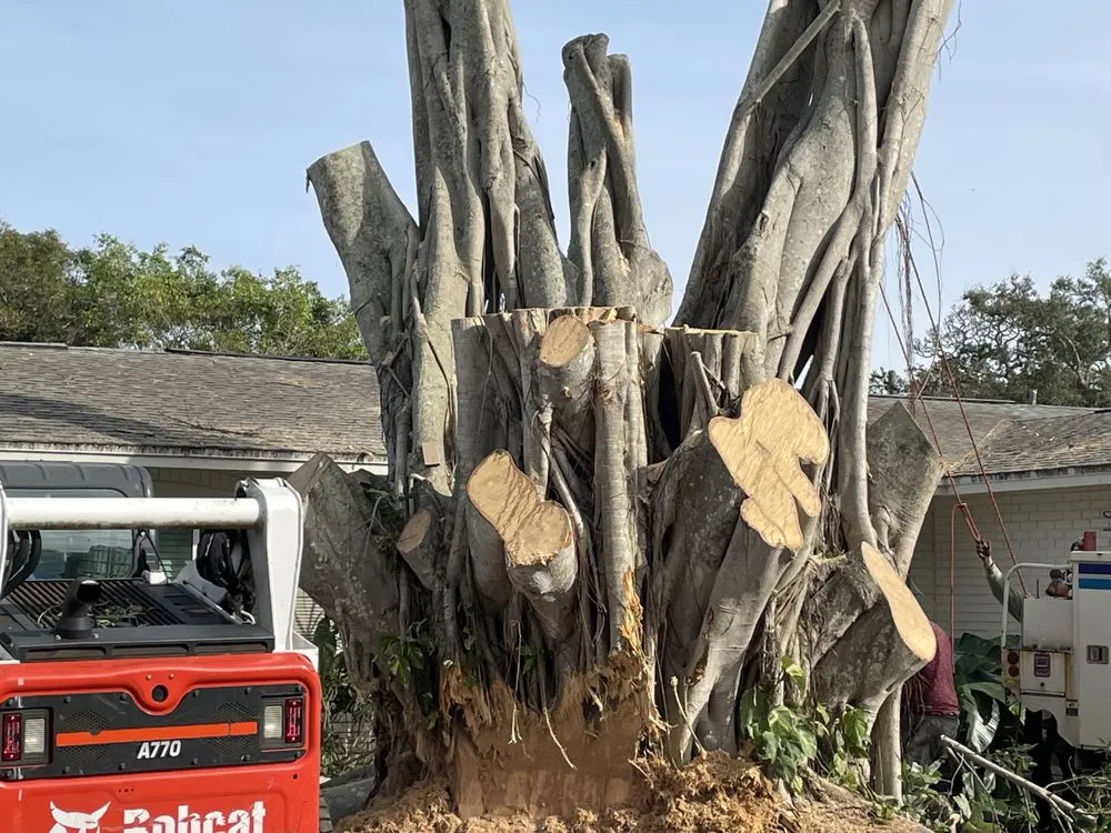 Affordable landscape design for homes in Fayetteville, NY by Roberson’s Tree Service