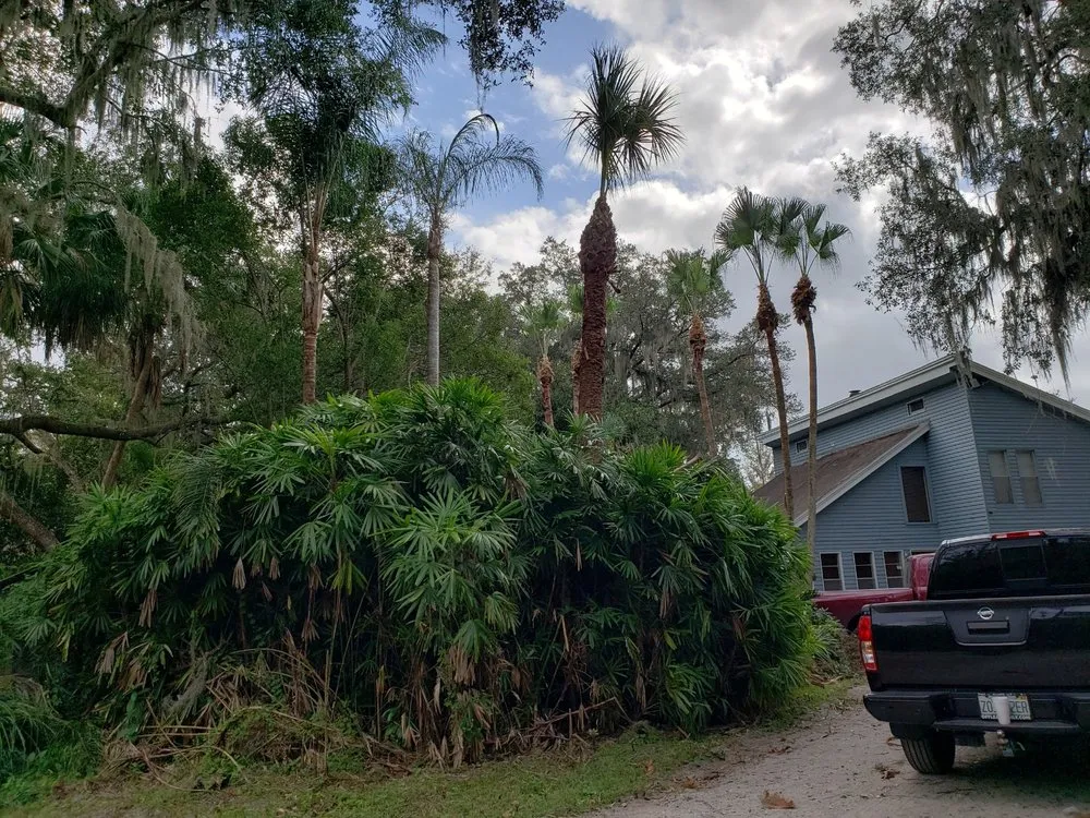 Professional yard cleanup service in Kissimmee, FL by Robert & Canito's Landscaping